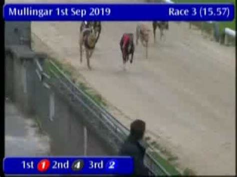 igb greyhound knowledge.